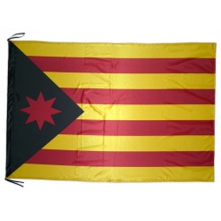 Bandera estelada llibertària