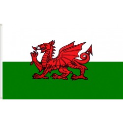 Bandera país de Gal·les