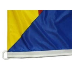 Bandera estelada blava estampada màstil