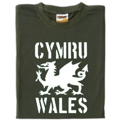 Samarreta Cymru - Wales