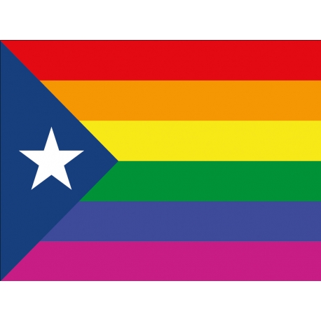 Bandera estelada blava - Arc de Sant Martí