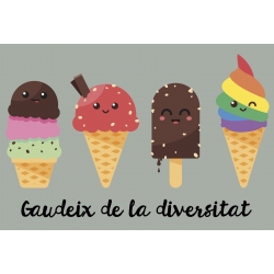 Samarreta NOIA Gaudeix de la diversitat - gelats