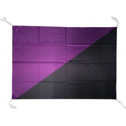 Bandera-domàs anarcofeminista