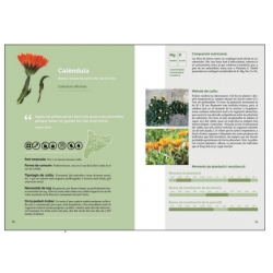 Llibre El llibre de les plantes silvestres comestibles. Volum 2