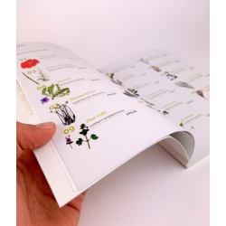 Llibre El llibre de les plantes silvestres comestibles. Volum 3