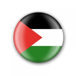 Xapa Bandera palestina