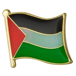 Pin Bandera Palestina