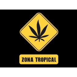 Samarreta Zona Tropical